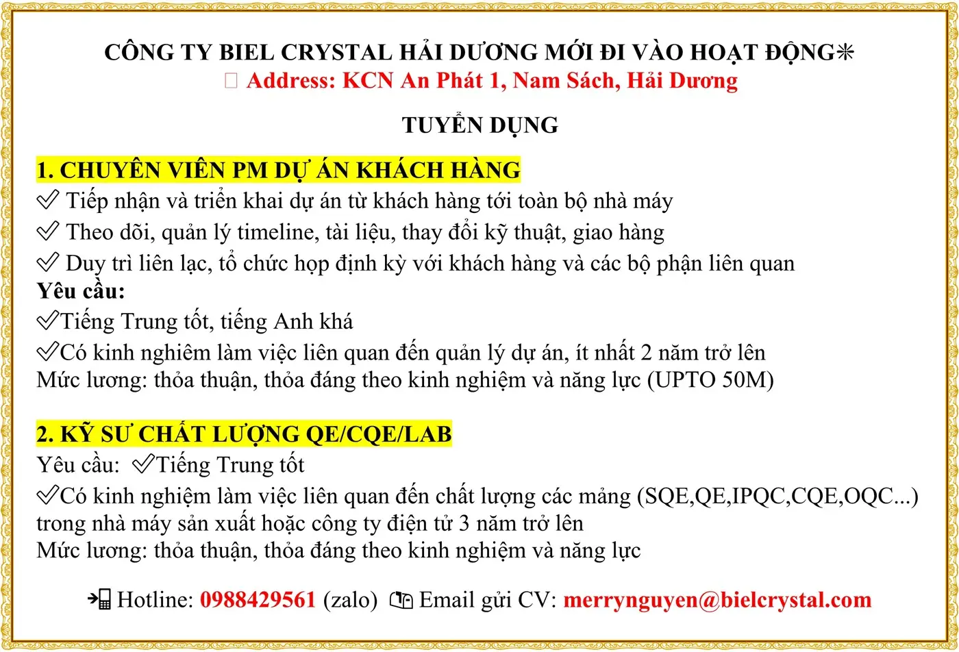 Hải Phòng tuyển CHUYÊN VIÊN PM DỰ ÁN KHÁCH HÀNG