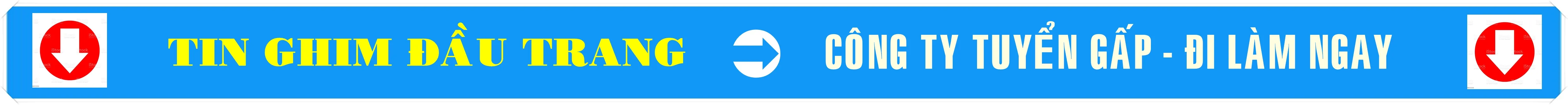 Doanh nghiệp tuyển gấp tại Hải Phòng